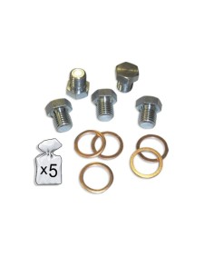 SET DE REPUESTOS REPARACIÓN CÁRTER M20X1.5P