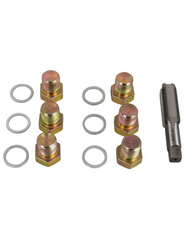 SET REPARADOR DE ROSCAS DE TAPÓN DE CÁRTER (M-17)