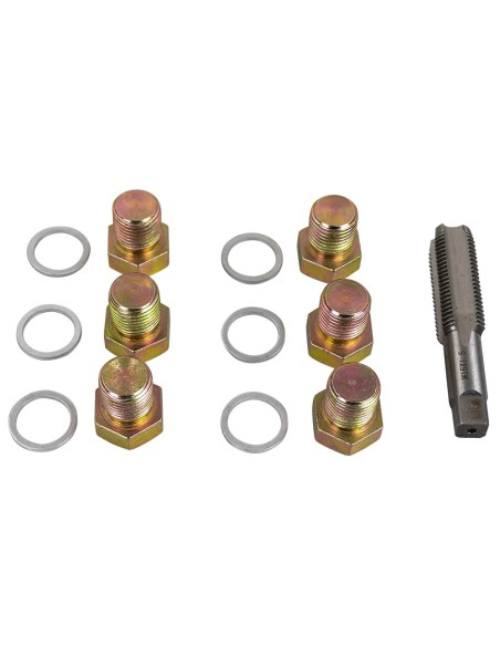 SET REPARADOR DE ROSCAS DE TAPÓN DE CÁRTER (M-17)