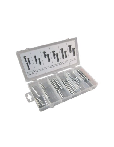 ESTUCHE DE PASADORES CLEVIS 20PCS