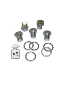 SET DE REPUESTOS REPARACIÓN CÁRTER M15X1.5P