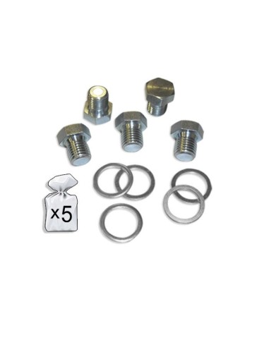 SET DE REPUESTOS REPARACIÓN CÁRTER M15X1.5P