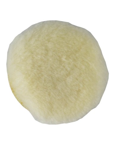 ESPONJA DE LANA PARA REF. 53646