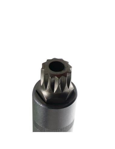 VASO PUNTA 1/2" XZN INVIOLABLE M16X58MM ESP. VAG