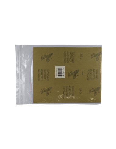 BOLSA DE 10 PAPELES DE LIJA - GRANO 800