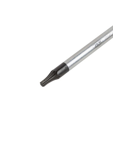 DESTORNILLADOR TX T10×100MM