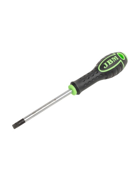 DESTORNILLADOR TX T40×100MM