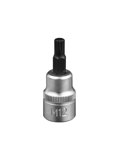VASO CON PUNTA SPLINE 3/8” - M12