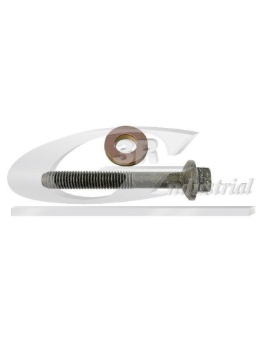 Kit de Fijación de Inyector (Tornillo + Arandela Cortafuegos 2 Piezas) Dacia / Renault 1.5 dCi