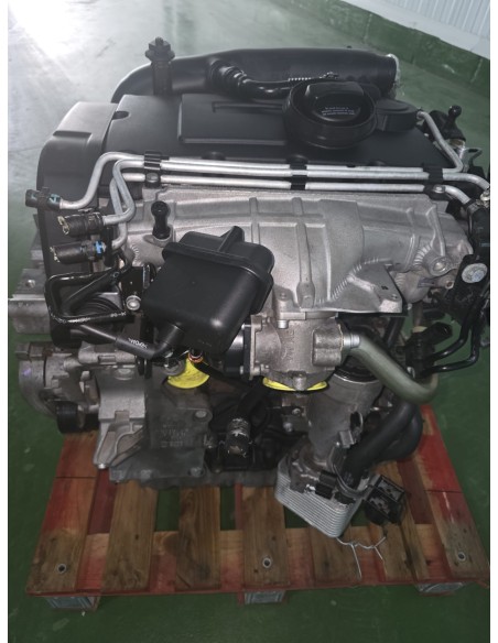 Motor BKP 2.0 TDI 140 CV (103 kW) recuperado | 2005–2010