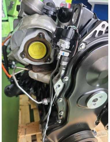 MOTOR RENAULT TRAFIC 1.6 dCi R9M COMPLETO – GARANTIZADO