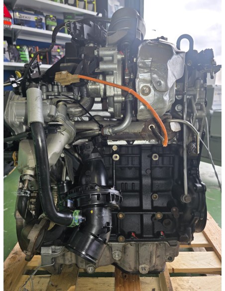 MOTOR RENAULT TRAFIC 1.6 dCi R9M COMPLETO – GARANTIZADO