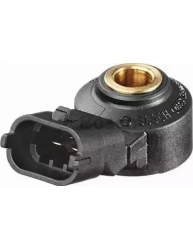 Sensor de detonaciones Bosch 261231173