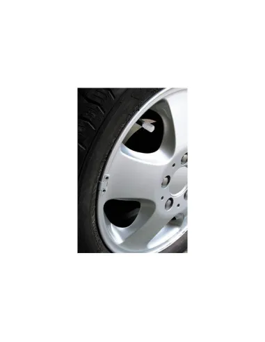 LAM02503