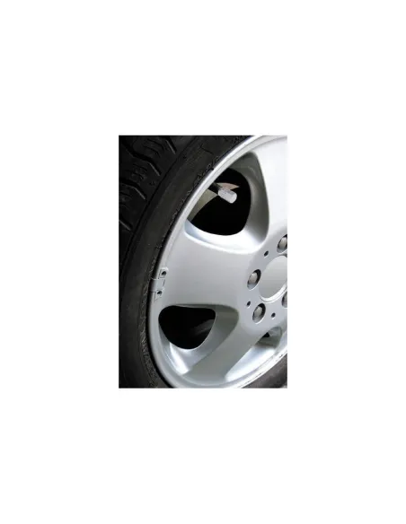LAM02503