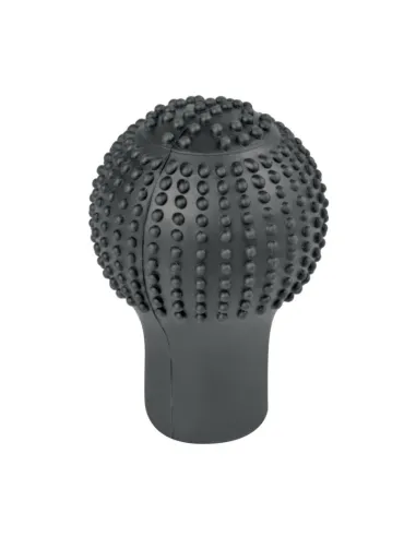 LAM06047