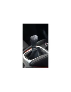 LAM06048