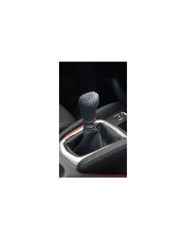 LAM06048