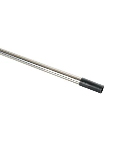 LAM37448
