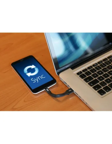 Llavero Usb Y Micro Usb Cable 10 Cm