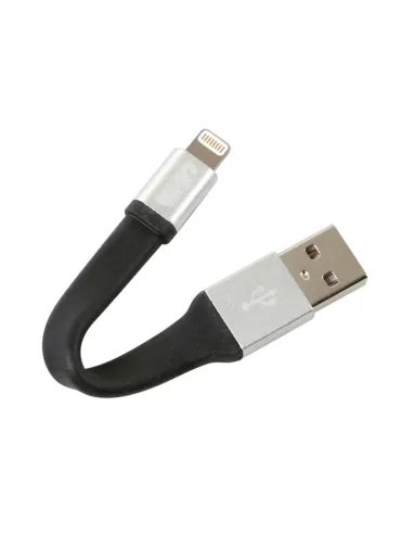 LAM38919