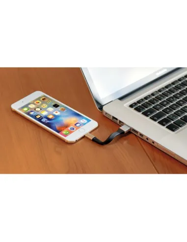 Llavero Usb Y Apple Lightning Cable 10 Cm