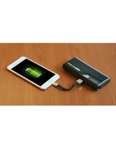 Llavero Usb Y Apple Lightning Cable 10 Cm