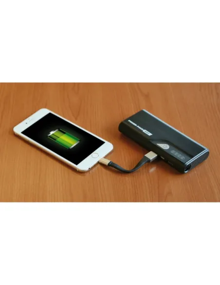 Llavero Usb Y Apple Lightning Cable 10 Cm