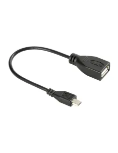LAM38929