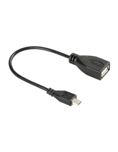 LAM38929