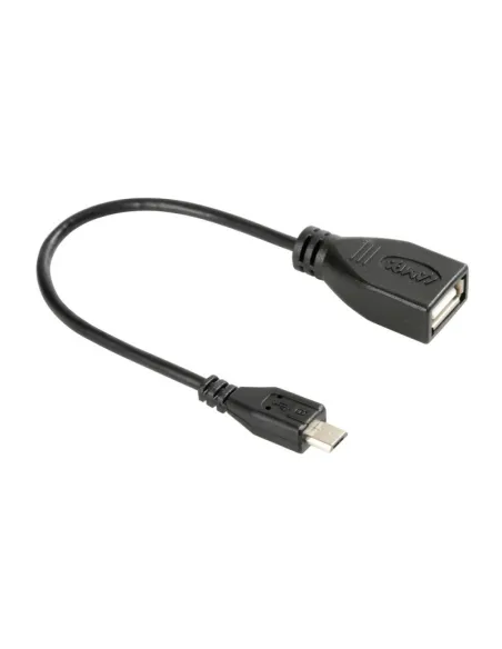 LAM38929