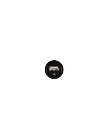 LAM39019