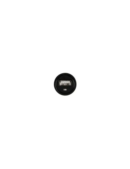 LAM39019