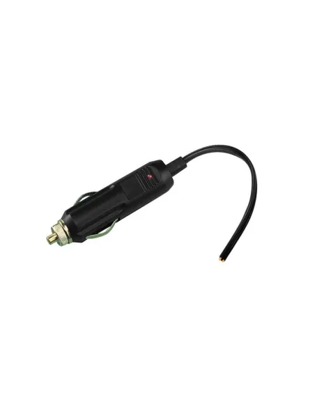 LAM39051