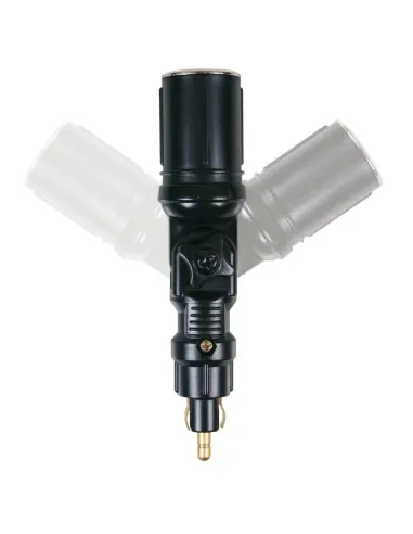 LAM39052