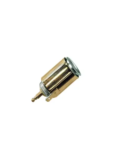 LAM39060