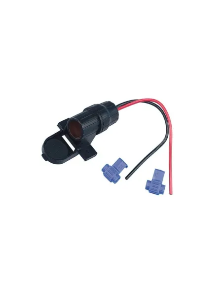 LAM39067