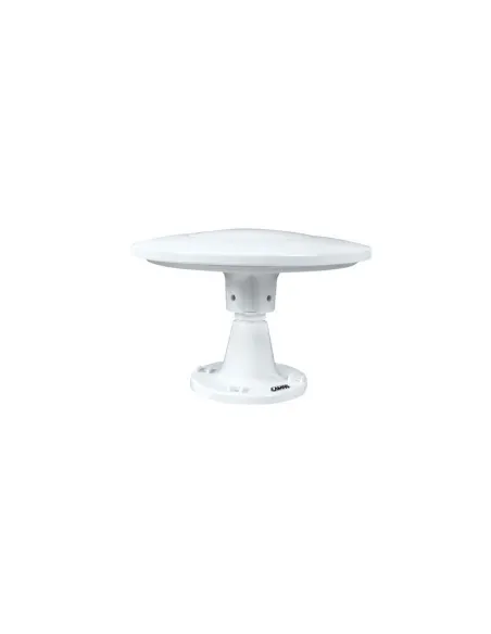 LAM39099