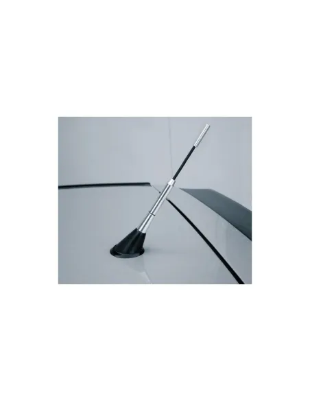 LAM40146