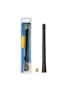 LAM40229