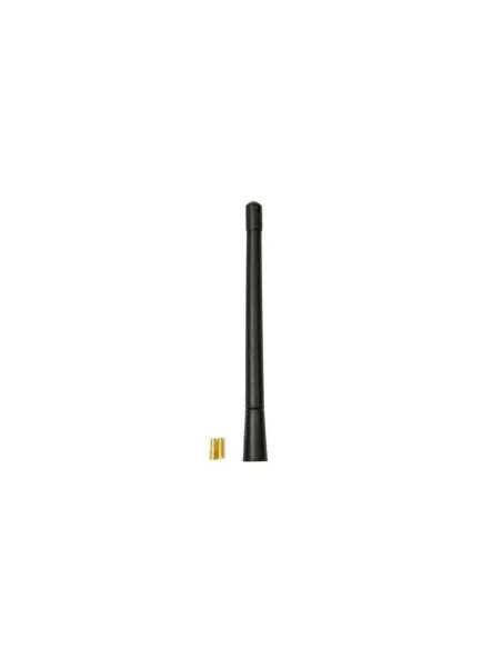 LAM40229