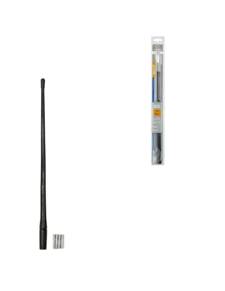 LAM40239