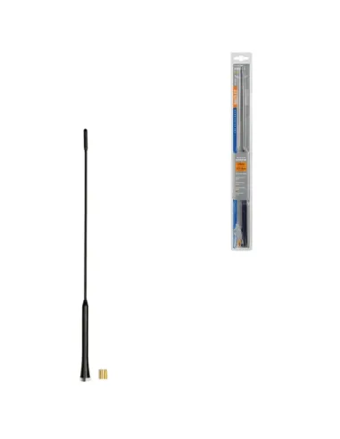 LAM40244