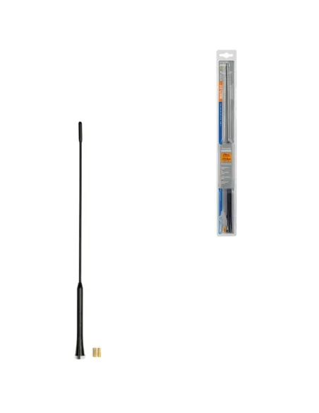 LAM40244