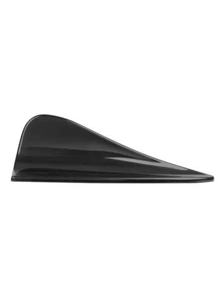 LAM40266