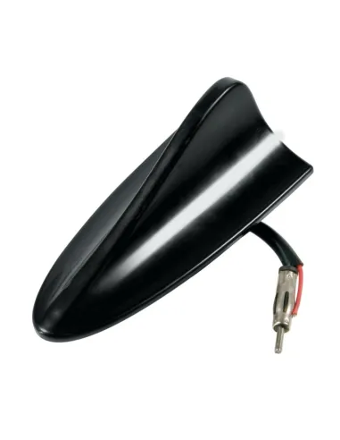 LAM40266