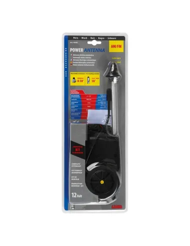 LAM40281