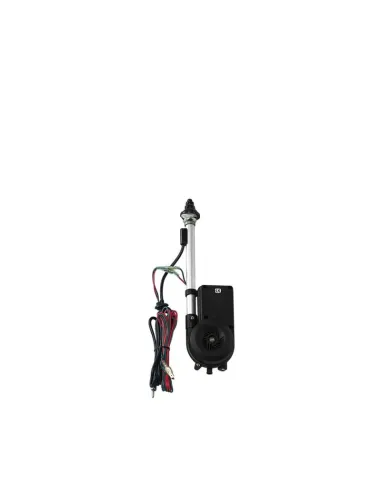LAM40281