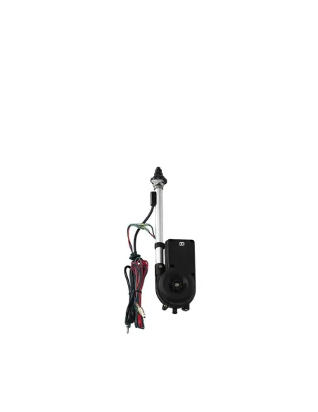 LAM40281