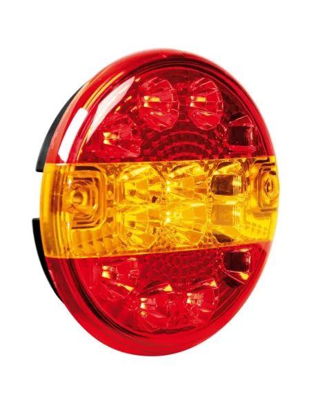 LAM41529